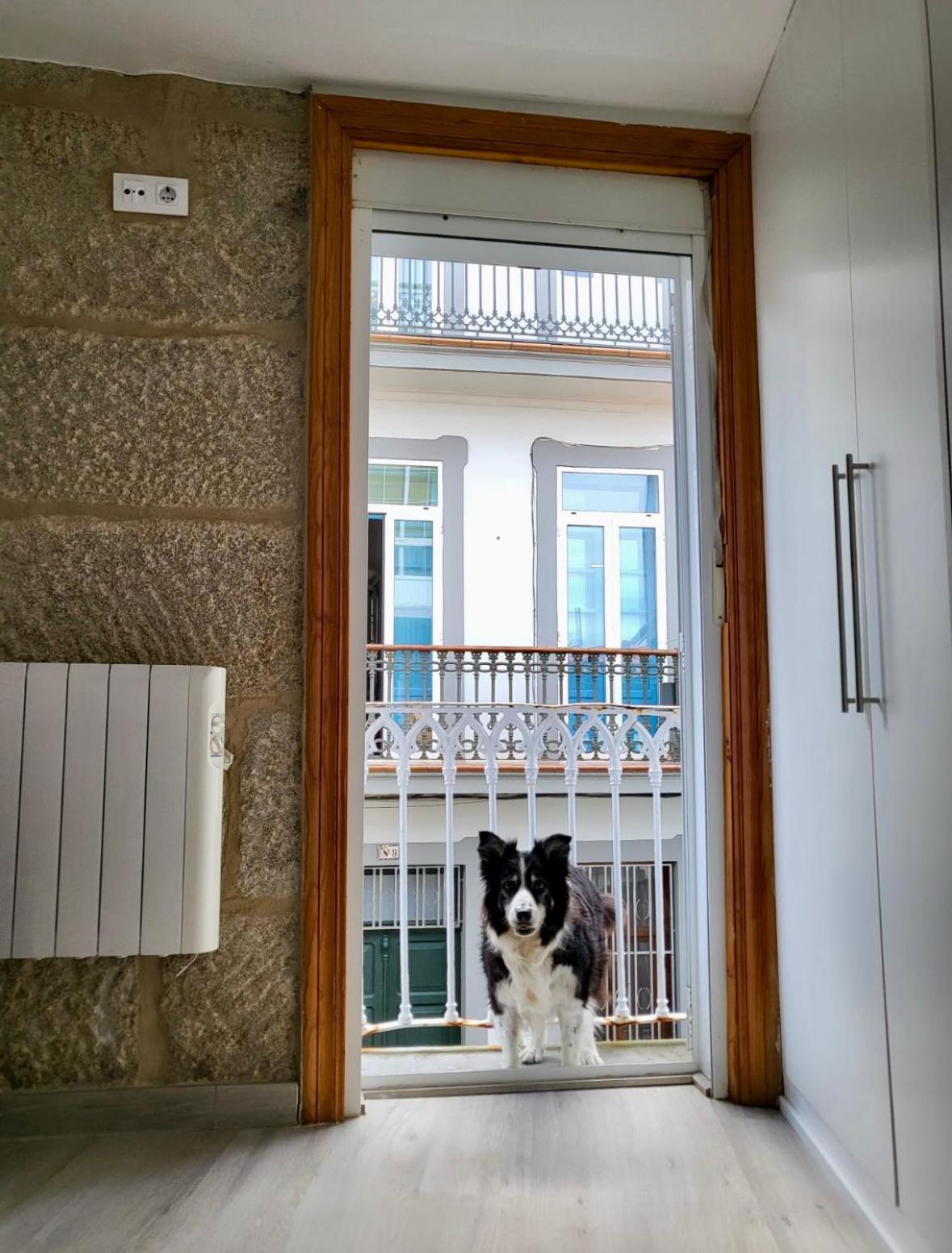 Centrico Y Acogedor Appartement *